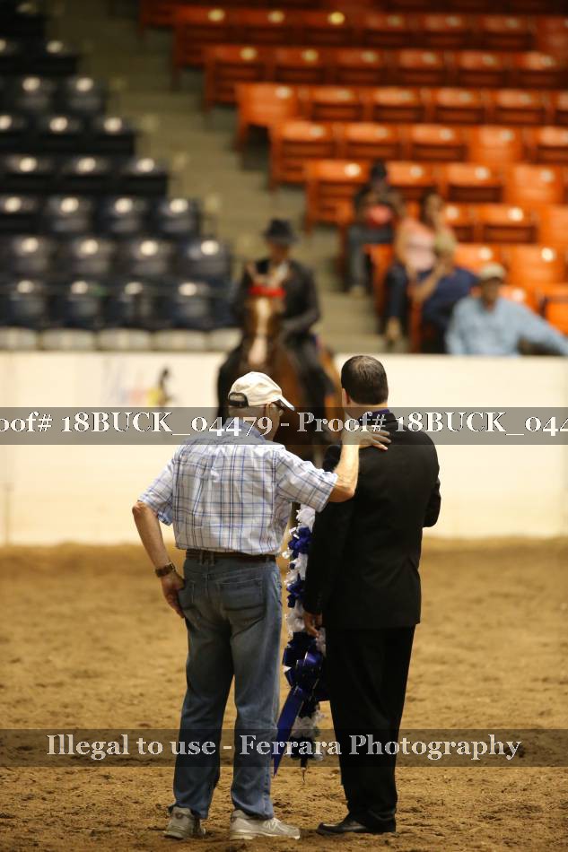 Proof 18BUCK_04479