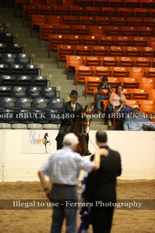 Proof 18BUCK_04480