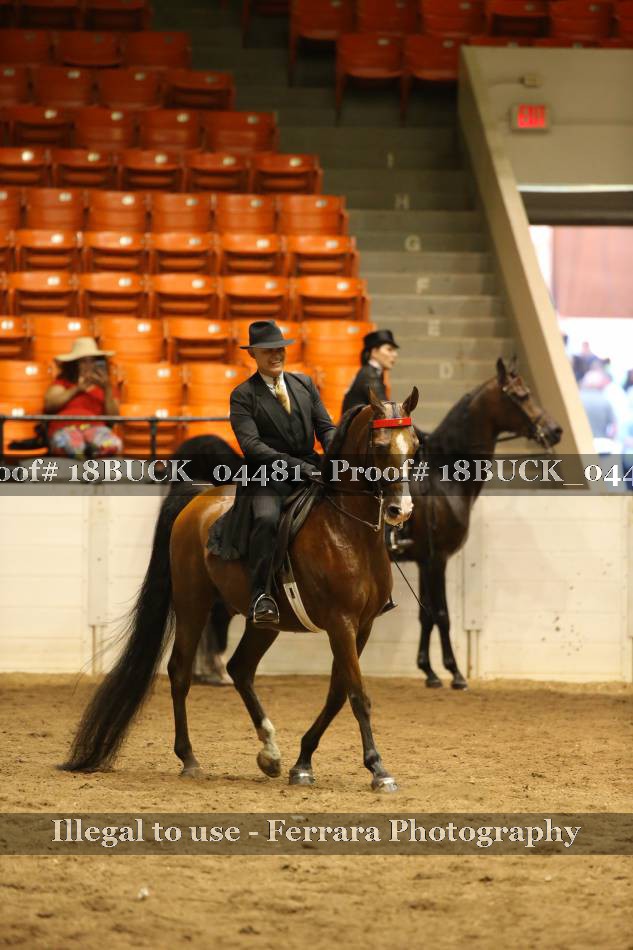 Proof 18BUCK_04481