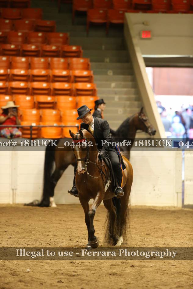 Proof 18BUCK_04482