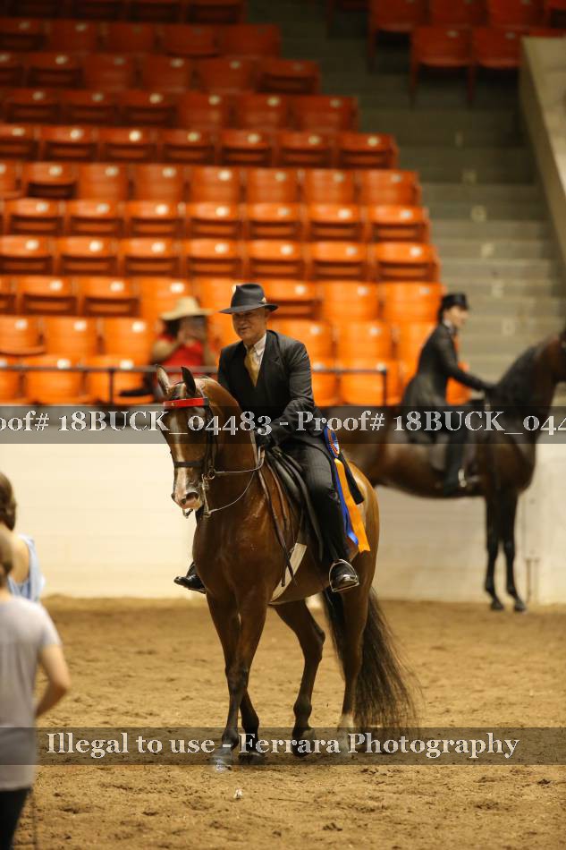 Proof 18BUCK_04483