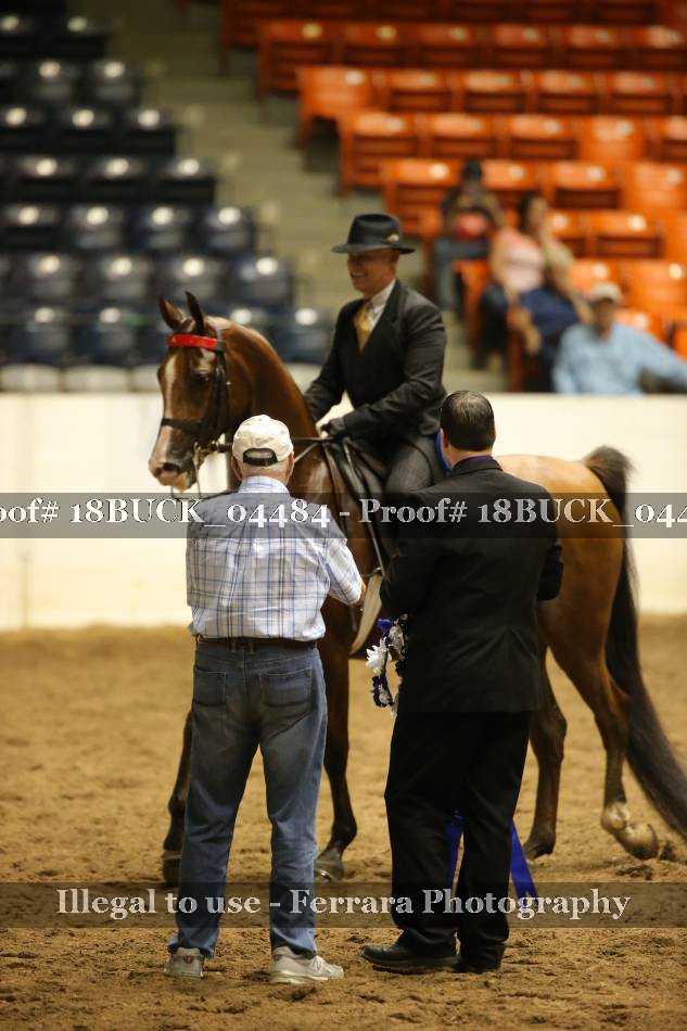 Proof 18BUCK_04484