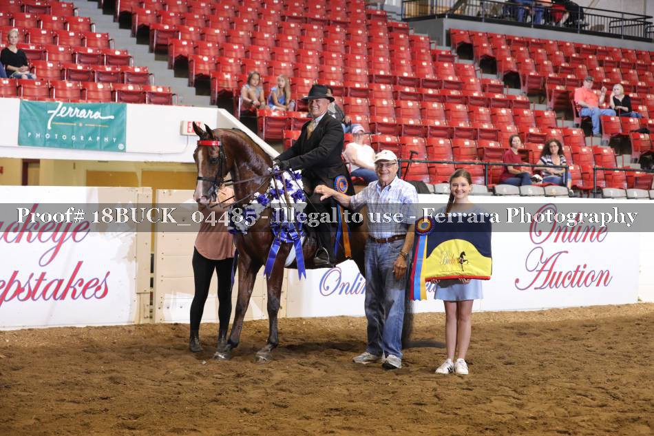 Proof 18BUCK_04485