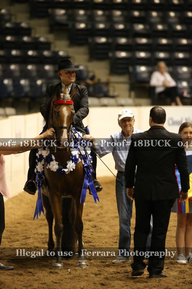 Proof 18BUCK_04486