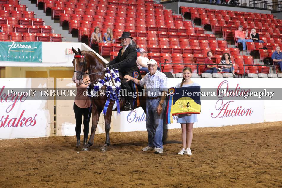 Proof 18BUCK_04487