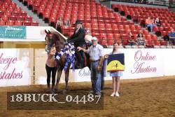 18BUCK_04487 proof