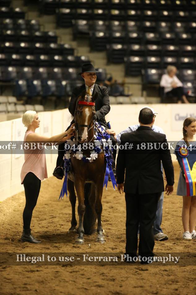 Proof 18BUCK_04488