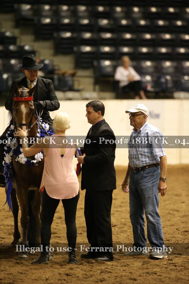 Proof 18BUCK_04490