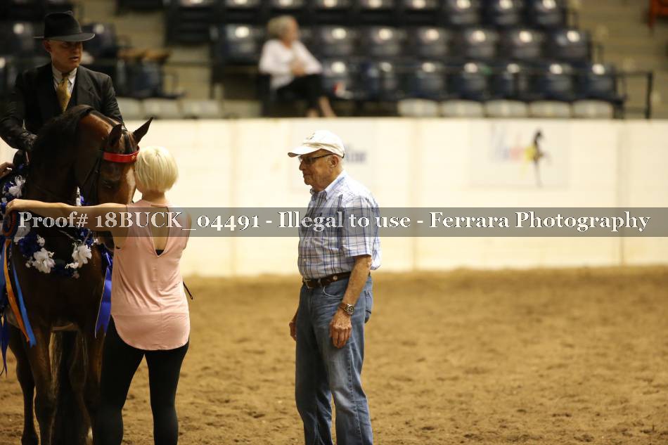 Proof 18BUCK_04491