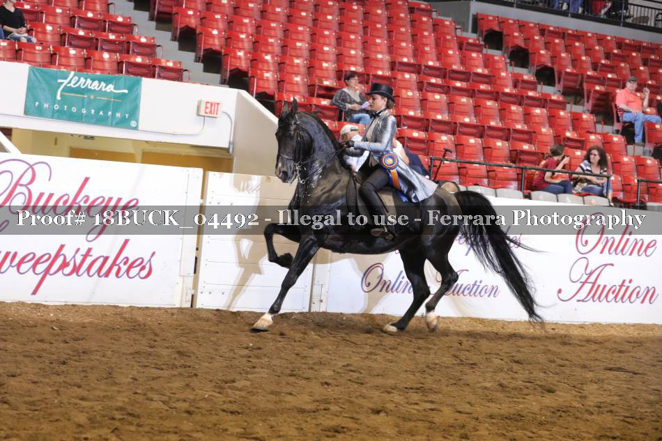 Proof 18BUCK_04492