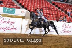 18BUCK_04492 proof