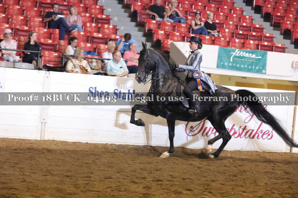 Proof 18BUCK_04493