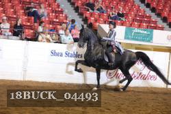 18BUCK_04493 proof