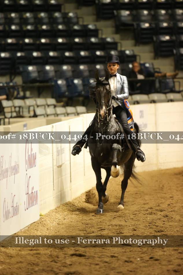 Proof 18BUCK_04494