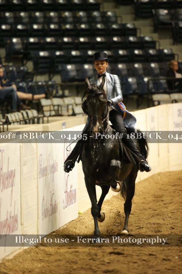 Proof 18BUCK_04495
