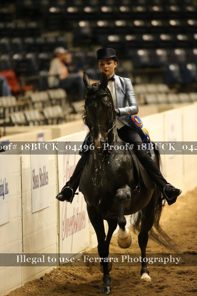 Proof 18BUCK_04496