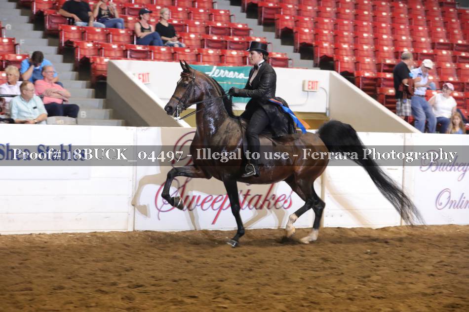Proof 18BUCK_04497