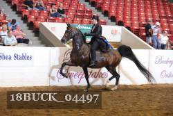 18BUCK_04497 proof