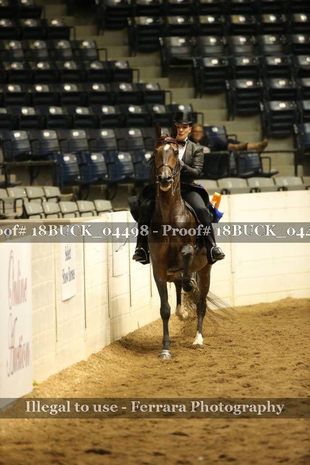 Proof 18BUCK_04498