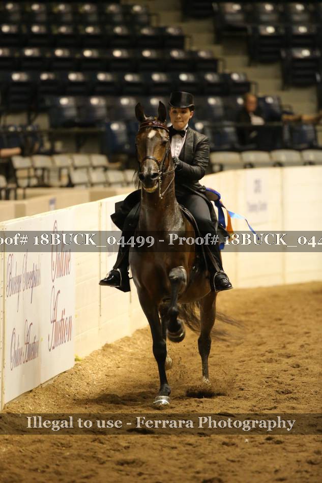 Proof 18BUCK_04499