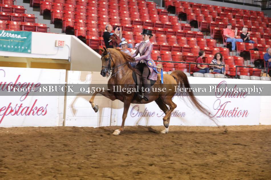 Proof 18BUCK_04501