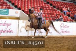 18BUCK_04501 proof
