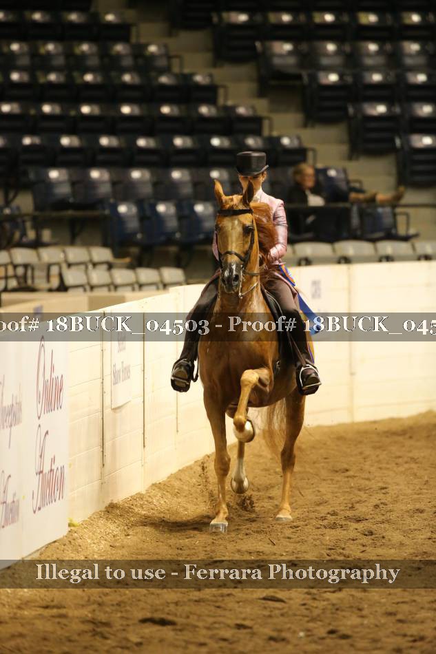 Proof 18BUCK_04503