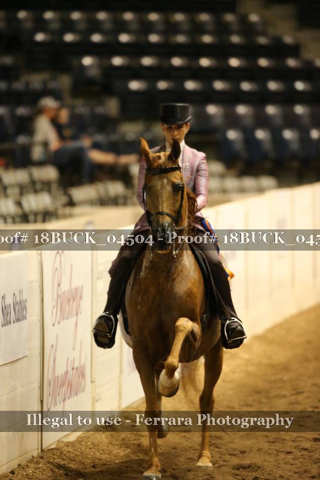 Proof 18BUCK_04504