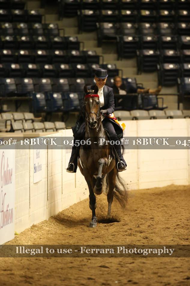 Proof 18BUCK_04506