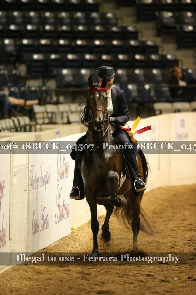 Proof 18BUCK_04507