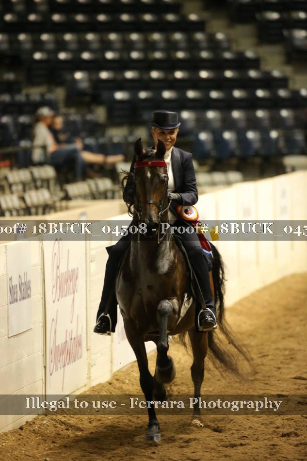 Proof 18BUCK_04508