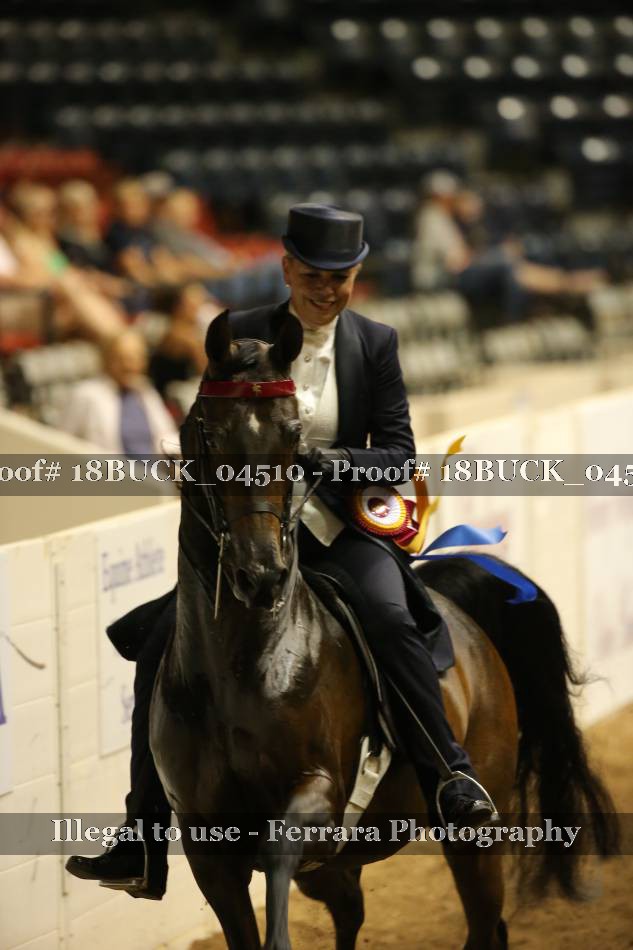 Proof 18BUCK_04510