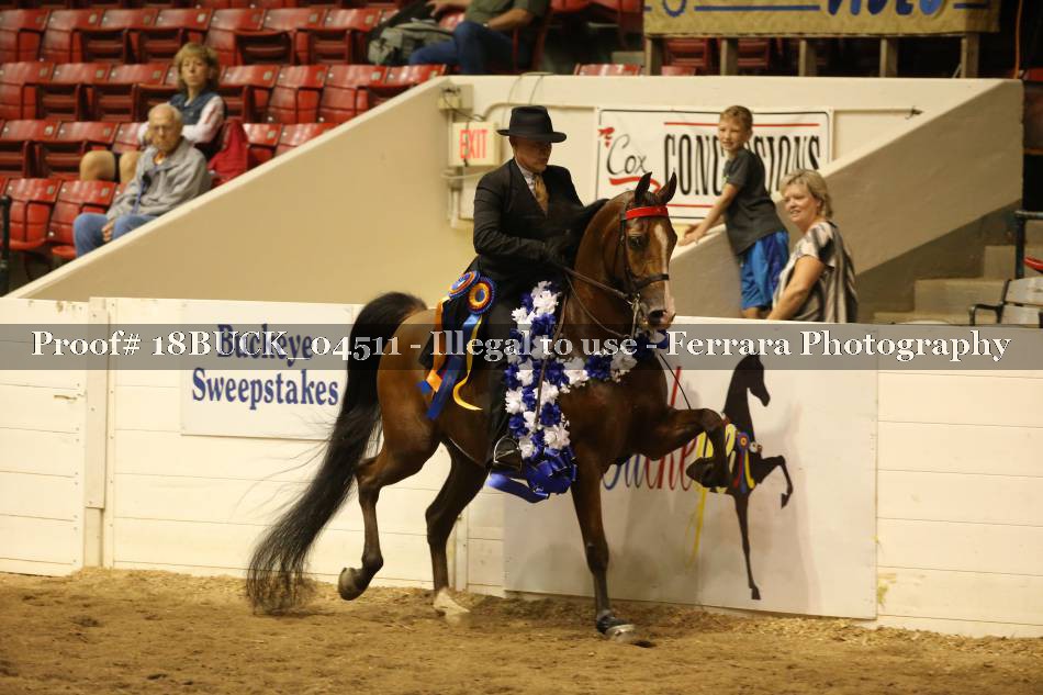 Proof 18BUCK_04511