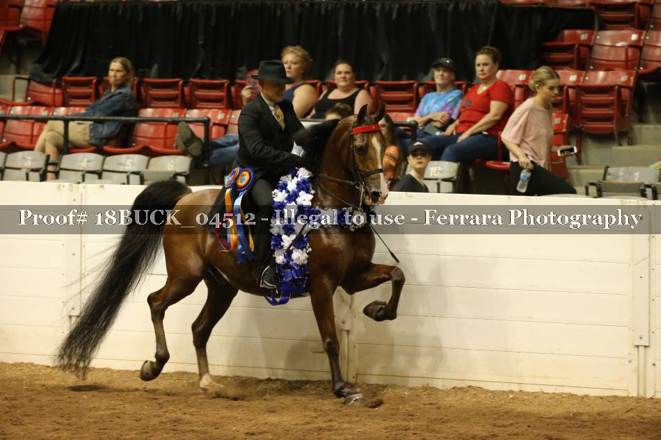 Proof 18BUCK_04512