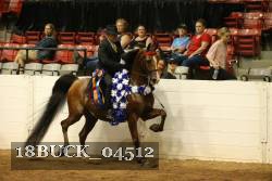 18BUCK_04512 proof