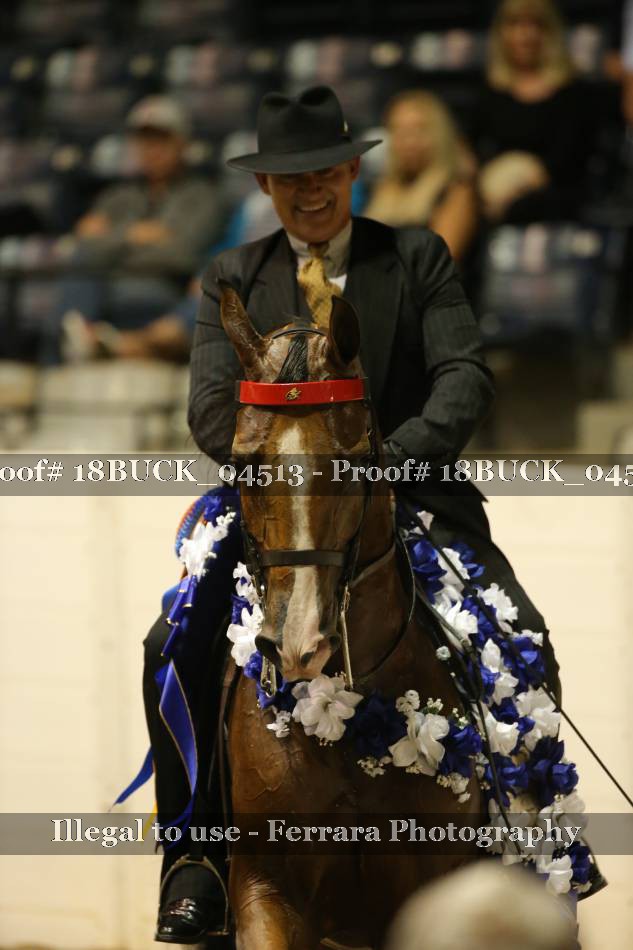 Proof 18BUCK_04513