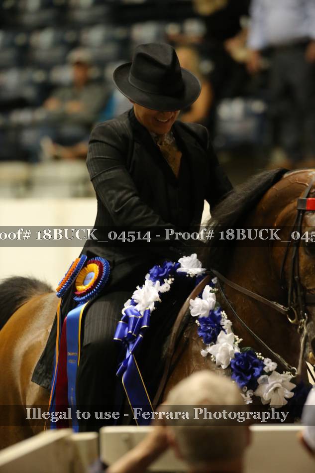 Proof 18BUCK_04514