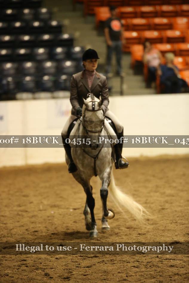 Proof 18BUCK_04515
