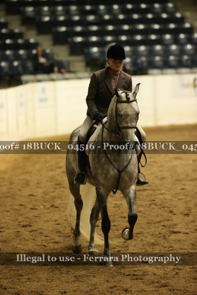 Proof 18BUCK_04516