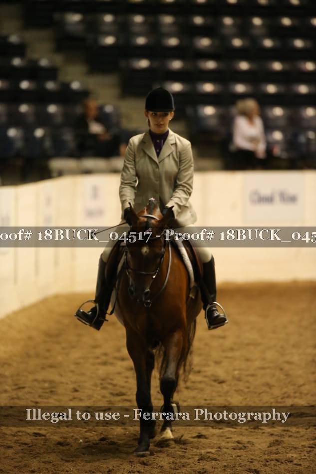 Proof 18BUCK_04517