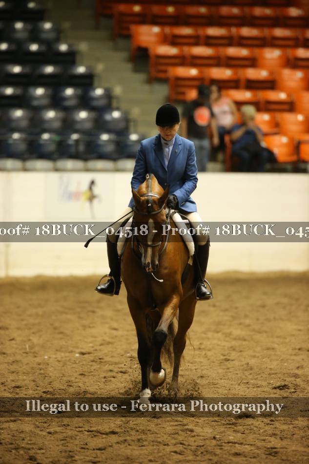Proof 18BUCK_04518