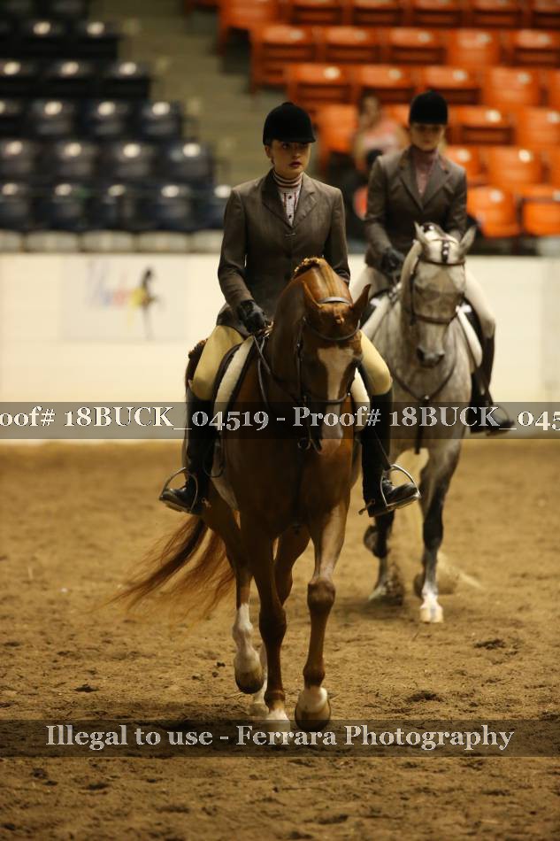 Proof 18BUCK_04519