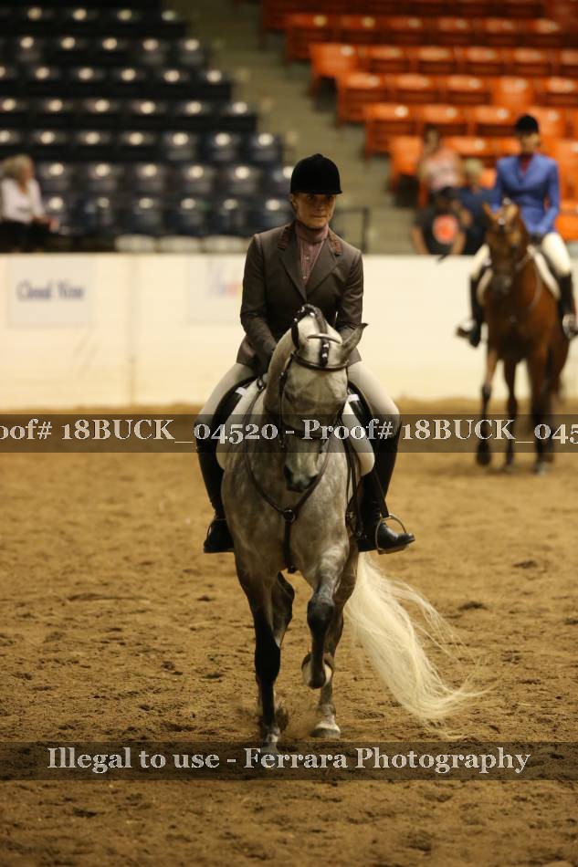 Proof 18BUCK_04520