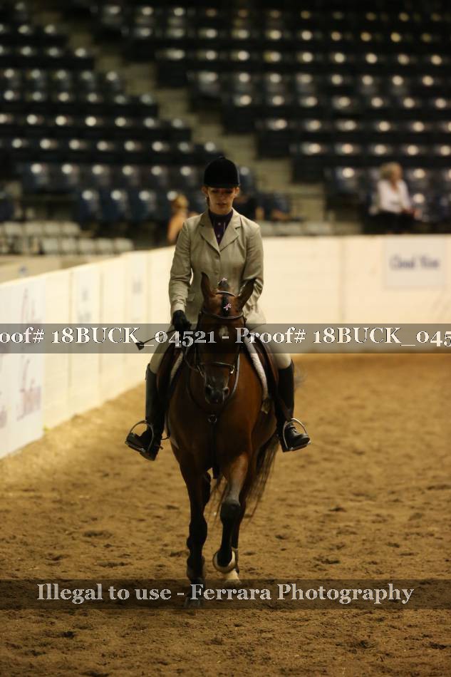 Proof 18BUCK_04521