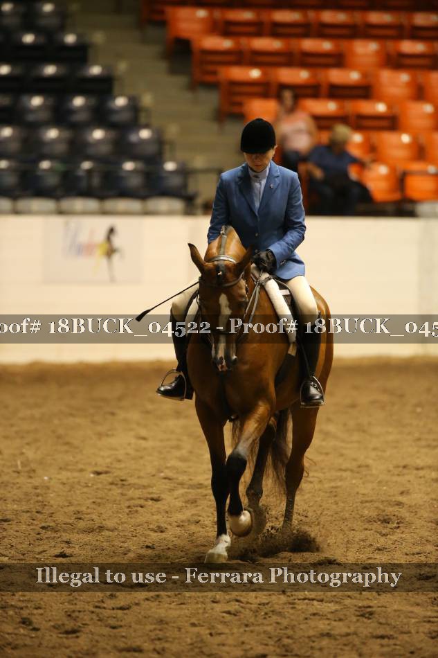 Proof 18BUCK_04522