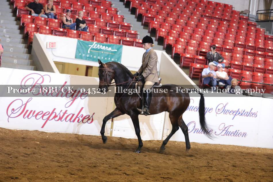 Proof 18BUCK_04523