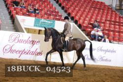 18BUCK_04523 proof