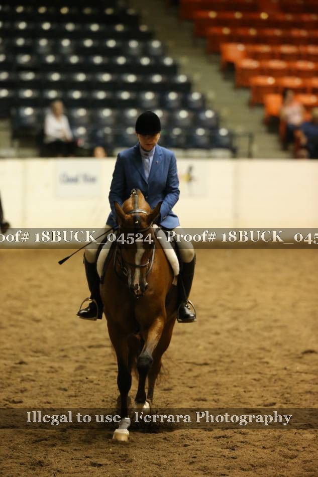 Proof 18BUCK_04524