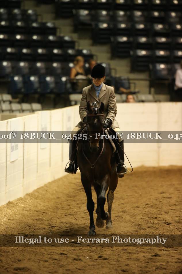 Proof 18BUCK_04525