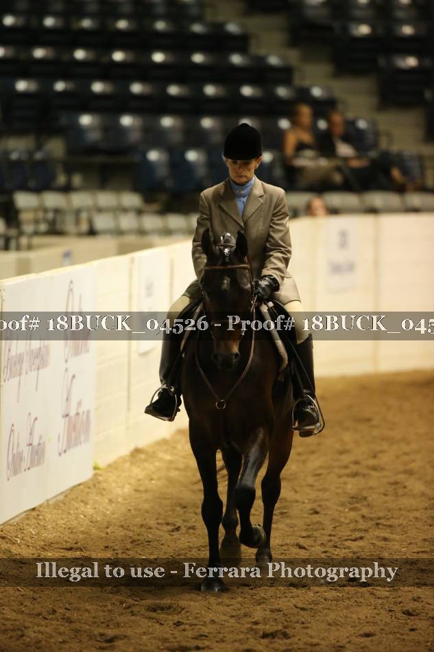 Proof 18BUCK_04526